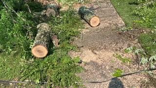 Severe Weather damages homes power lines in Kalamazoo