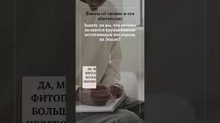 Знаете ли вы что океаны являются крупнейшими источниками кислорода на Земле?