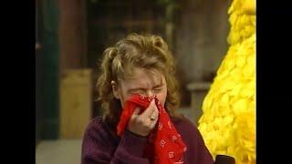 Charakters from the TV-Show Sesame Street sneeze cry and blow their noses
