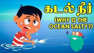 கடல் நீர் ஏன் உப்பாக இருக்கிறது  Why Is Ocean Water Salty  Kids Learning Video  Dr. Binocs Tamil