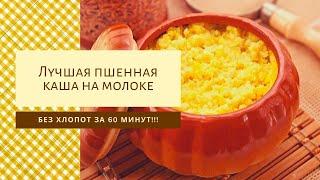 Пшенная каша на молоке. Простой рецепт пшенной каши