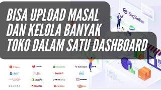 Kelola Banyak Toko Marketplace Atau Tiktok Shop Tanpa Ribet Pakai BigSeller