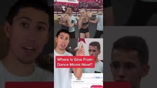 Where Is Gino From Dance Moms Now?