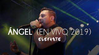 Elefante - Angel En Vivo