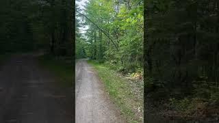 Tree skipped out on squats permanently bent from the forces of Mother Nature.