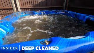 How Hot Tubs Are Professionally Cleaned  Deep Cleaned