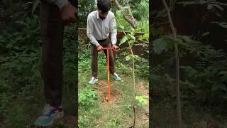 Plantation More Stronger  #dailyvlog #youtubeshorts #viralvideos #travelvlog #trendingshorts