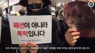 패션이 아니라 폭력입니다. 백화점 모피 방해시위Fur Disruption