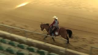 EWU German Open 2023 - mein Finalritt in der Senior Ranch Riding