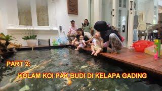 PART 2  KOLAM KOI PAK BUDI DI KELAPA GADING