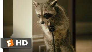 Furry Vengeance 511 Movie CLIP - Nature Fights Back 2010 HD