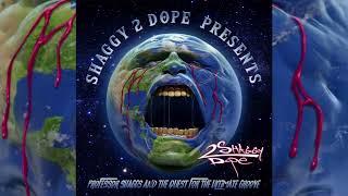 Shaggy 2 Dope Presents  Professor Shaggs and the Quest for the Ultimate Groove Full E.P.