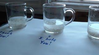 Important Knowledge - Rice Water Experiment - Dr. Emoto Research