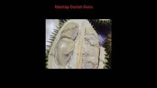 Durian Susu Mantap