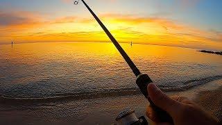 An ENTIRE MONTH fishing from an Italian Beach Magic Moments while Lures Fishing C&R