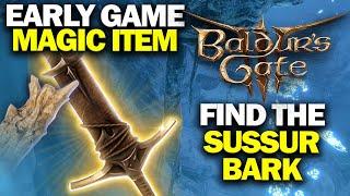 BALDURS GATE 3 - Find The Sussur Bark and Finish The Masterwork Weapon Early Game Magic Item