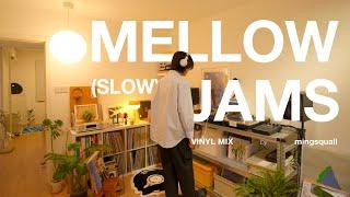 Mellow Slow Soul Funk Vinyl Mix by mingsquall 4K