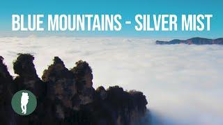 Blue Mountains Australia Silver Mist 4K Time Lapse