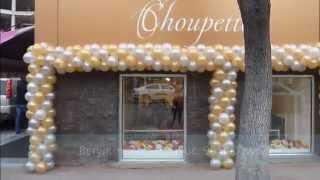 Франшиза Choupette