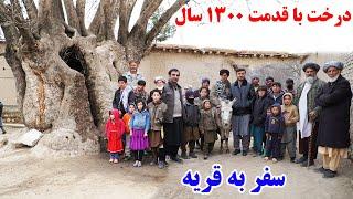 سفر به قریه، دهکده جالب و دیدنی، درخت با قدمت ۱۳۰۰ سال، قصه های وطنی Badakhshan faiz‍abad
