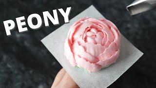 How to pipe buttercream peony flowers  Cake Decorating For Beginners 