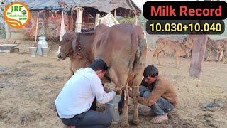 3 2nd #MilkingMilk Record 20.070Kg #Monu भाई की Sahiwal 2nd Lactation.Milk 10.030+10.040Kg