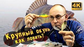 Как ловить крупного окуня Где искать на что ловить