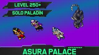 Asura Palace - Solo Paladin Hunt 250+