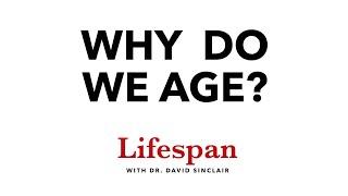 The Science Behind Why We Age  Lifespan with Dr. David Sinclair #1