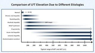 Interpretation of LFTs Liver Function Tests