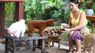 Cook sticky rice recipe with rice fried in my countryside - Polin lifestyle