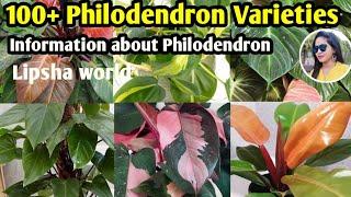 100+ Philodendron Plants varieties   Philodendron Plants varieties+identification  Lipsha world