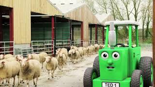 Tractor Ted - Hello Ewe