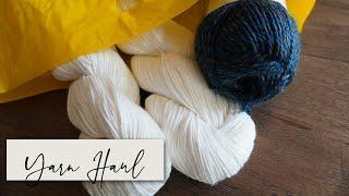 Local Yarn Store Haul  Megan Brightwood