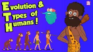 What Is Evolution & types of HUMANS  Dr Binocs Show  Peekaboo Kidz