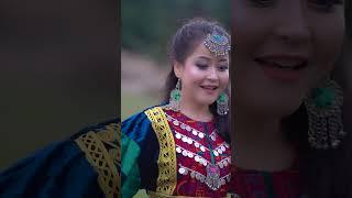 Chagar Ma - Zeba Noori New Mast song comig soon  چگر مه به زودی