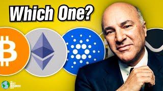How I Decide What Crypto To Invest In Kevin OLeary