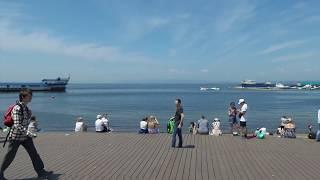 24 июня 2017г. Владивосток. День Молодежи на Спортивной Набережной.