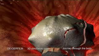 Journey through the human body  - Reise durch den Körper - 3D Motion Ride Film