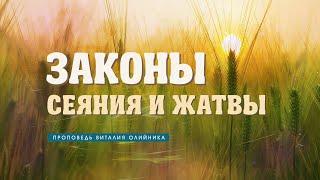 Законы сеяния и жатвы