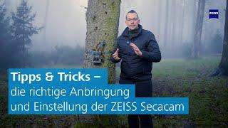 Optimale Positionierung der Wildkamera im Jagdrevier Tipps & Tricks zur Ausrichtung und Einstellung