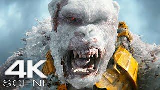 Godzilla King Kong & Shimo Vs Skar King 2024 Final Fight Scene  Godzilla X Kong The New Empire