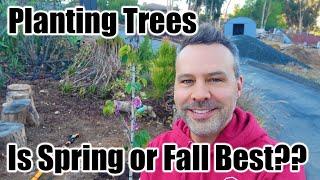 Planting Trees  Cottage Coop Update  When is the Best Time to Plant Trees? Spring or Fall?