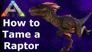 How To Tame a RaptorArk Survival Evolved On PS4