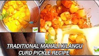 Secrets of Mahali Kizhangu Curd Pickle Recipe by #ramalakshmisundararajan