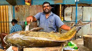 KASIMEDU  MR GOVINDH  41 KG GIANT BROWN COBIA FISH CUTTTING  IN KASIMEDU  HD VIDEO FF CUTTTING