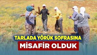 Müziği Duyunca Yemeği Bırakıp Tarlada Oynamaya Başladılar