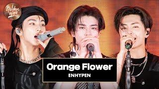 골든 웨이브 ENHYPEN 엔하이픈 - Orange Flower You Complete Me   JTBC 240504 방송