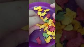 Satisfying goldfish crushing