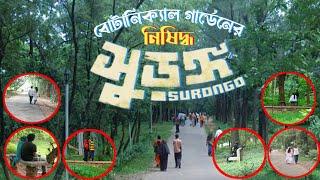 বোটানিক্যাল গার্ডেনে দিনে দুপুরে যা হচ্ছে । botanical garden mirpur dhaka bangladesh  Dream AK TV